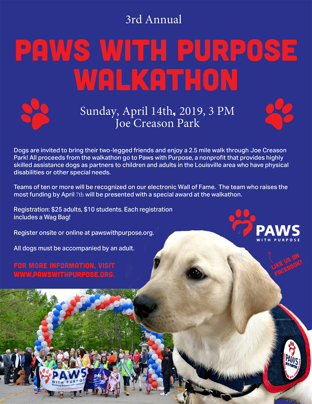Paws with Purpose 2019 Walkathon Flier