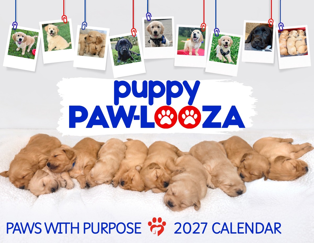 Cover of the Paws With Purpose 2027 Puppy Paw-looza calendar,
        showing a row of sleeping golden retriever puppies beneath photos of puppies in training