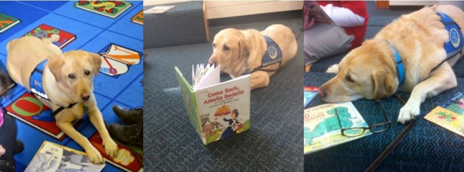 Ruff Ruff Reader