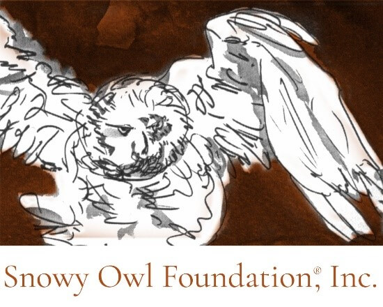 Snowy Owl Foundation, Inc.