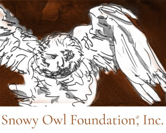 Snowy Owl Foundation, Inc. Snowy Owl Foundation, Inc.